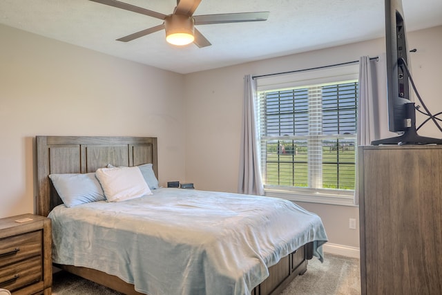 196 Herndon Ln, Berea, KY 40403 - bedroom featuring multiple windows, carpet flooring, and a ceiling fan