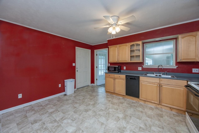 204 Kelly St, Paris, KY 40361 - kitchen featuring black dishwasher, stainless steel microwave, electric range oven, a ceiling fan, and light flooring