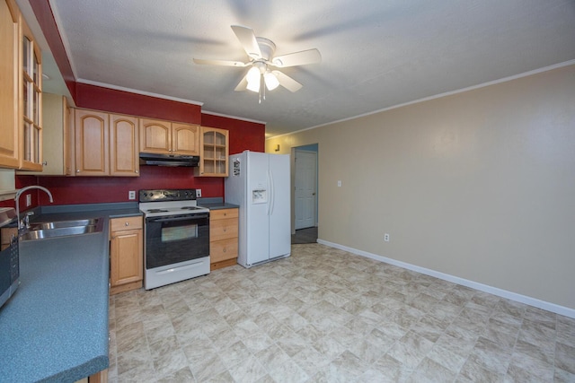 204 Kelly St, Paris, KY 40361 - kitchen featuring electric stove, white refrigerator with ice dispenser, under cabinet range hood, a ceiling fan, and glass insert cabinets