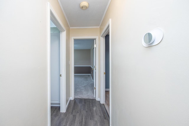 204 Kelly St, Paris, KY 40361 - corridor with dark wood finished floors, ornamental molding, and a textured ceiling
