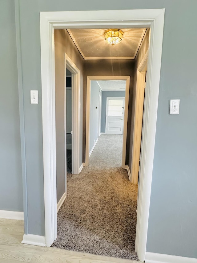 243 Walnut St, Crab Orchard, KY 40419 - hall with ornamental molding and carpet