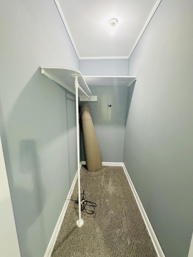 243 Walnut St, Crab Orchard, KY 40419 - spacious closet featuring carpet and electric panel
