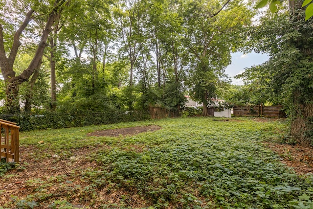 223 Race St, Lexington, KY 40508 - view of yard