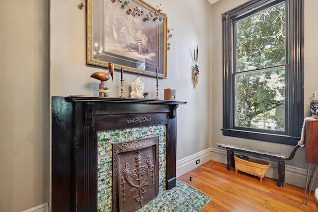 456 N Limestone St, Lexington, KY 40508 - living area featuring wood finished floors and a fireplace