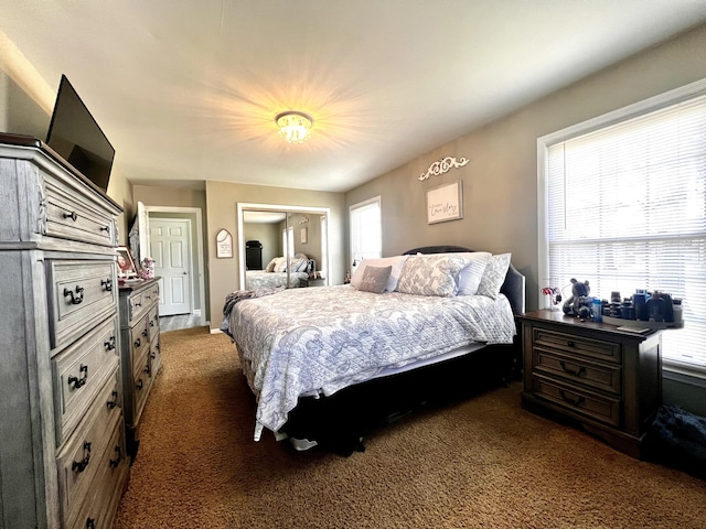 525 Scenic Dr, Harrodsburg, KY 40330 - bedroom with dark carpet and a closet