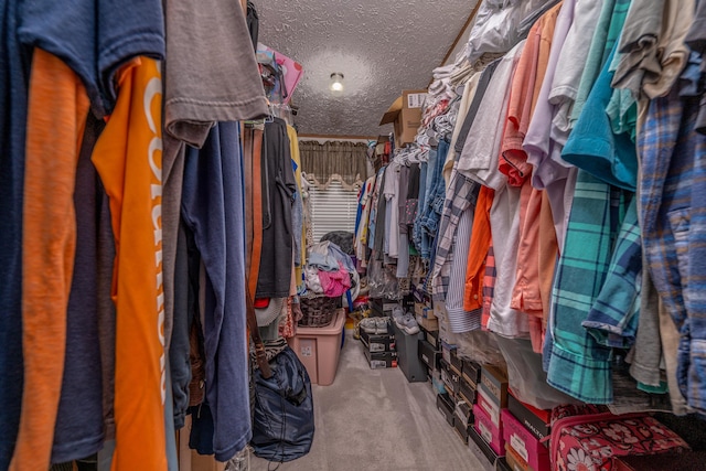 494 Janice Ln, Owingsville, KY 40360 - walk in closet featuring carpet