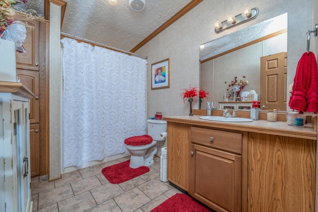 494 Janice Ln, Owingsville, KY 40360 - full bath featuring ornamental molding, vanity, a textured ceiling, vaulted ceiling, and a shower with curtain
