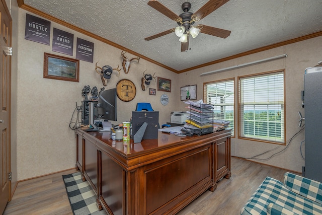 494 Janice Ln, Owingsville, KY 40360 - office featuring light wood-style flooring, a textured ceiling, a ceiling fan, and ornamental molding
