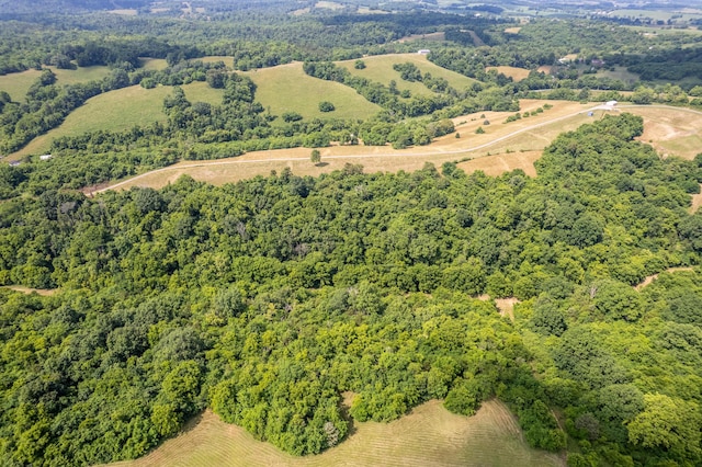 494 Janice Ln, Owingsville, KY 40360 - aerial view of a forest