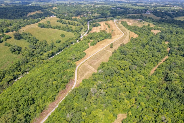 494 Janice Ln, Owingsville, KY 40360 - aerial view of property's location featuring a forest
