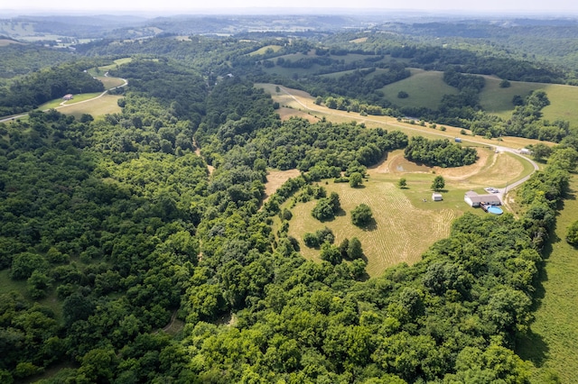 494 Janice Ln, Owingsville, KY 40360 - overview of rural landscape with a heavily wooded area
