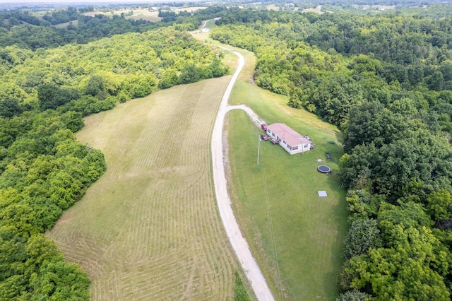 494 Janice Ln, Owingsville, KY 40360 - view of rural area with a heavily wooded area
