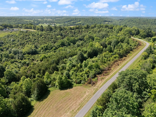 0 Mann Rd, Mount Olivet, KY 41064