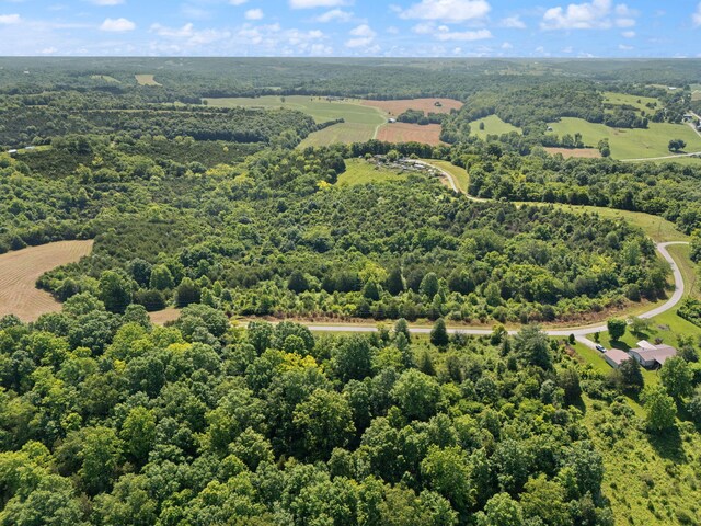 0 Mann Rd, Mount Olivet, KY 41064
