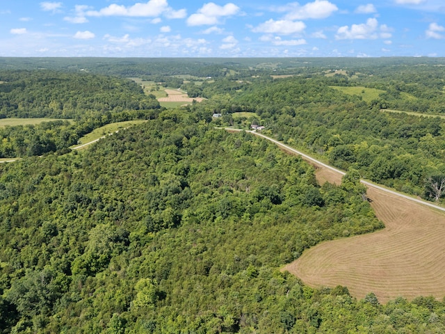 0 Mann Rd, Mount Olivet, KY 41064