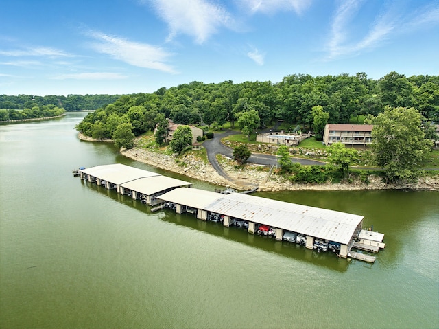 1011 Hancock Cir Unit 9-10, Harrodsburg, KY 40330 - aerial view of a large body of water