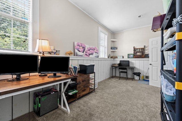 997 Copper Creek Rd, Berea, KY 40403 - home office with carpet, ornamental molding, and wainscoting