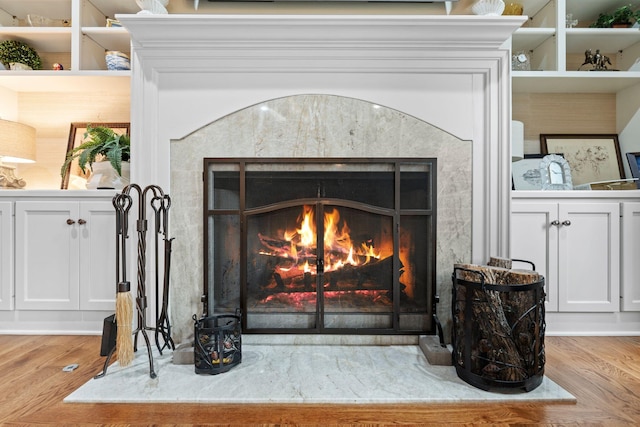 30 Woodburn St, Frankfort, KY 40601 - detailed view of a premium fireplace and wood finished floors