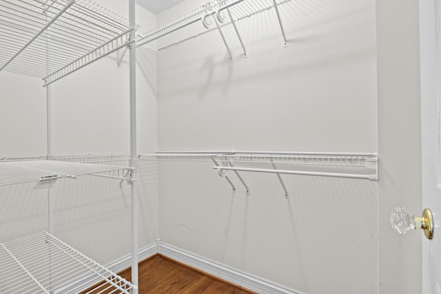 117 Richland Dr, Richmond, KY 40475 - walk in closet with wood finished floors