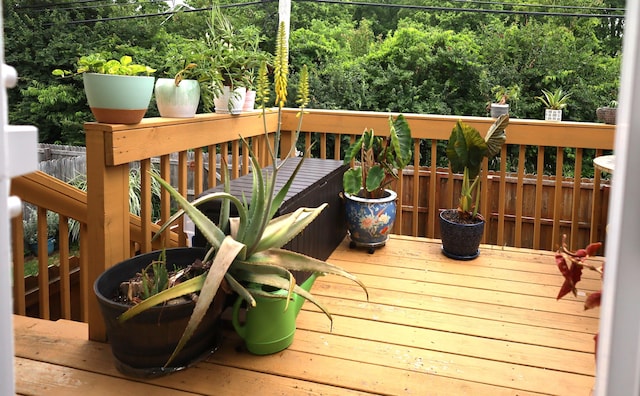 3645 Squire Woods Way, Lexington, KY 40515 - view of wooden terrace
