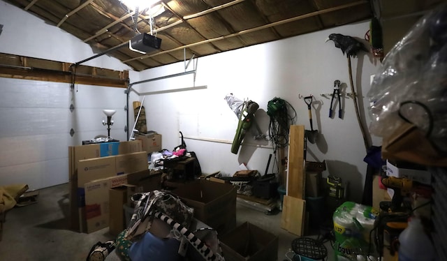 3645 Squire Woods Way, Lexington, KY 40515 - below grade area featuring a garage