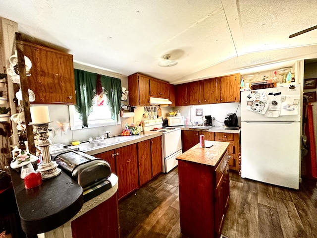 697 Ky 3439, Barbourville, KY 40906 - kitchen featuring white appliances, lofted ceiling, dark wood-style floors, under cabinet range hood, and a textured ceiling