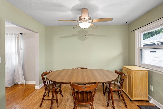 3523 Brookview Dr, Lexington, KY 40517 - dining room with light wood finished floors, ceiling fan, and a textured ceiling