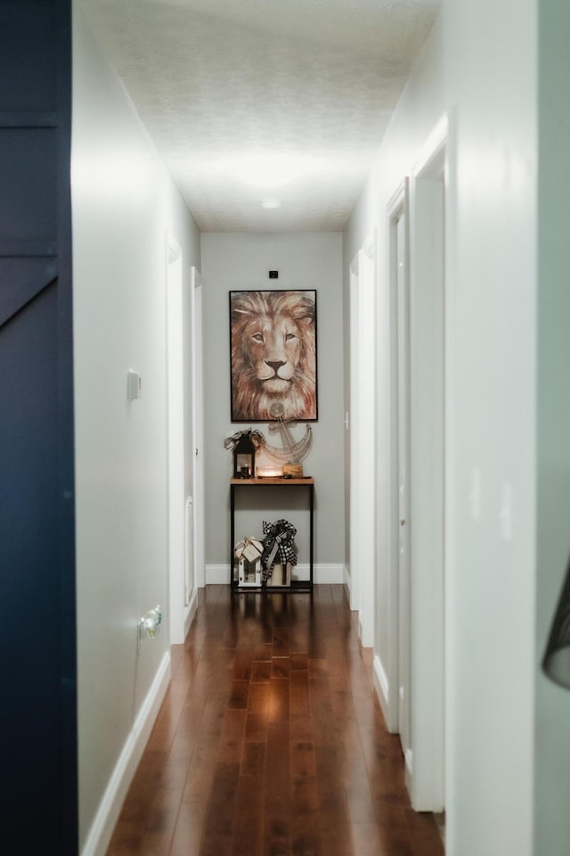 585 Cotton Rd, Corbin, KY 40701 - corridor featuring dark wood-style floors and baseboards