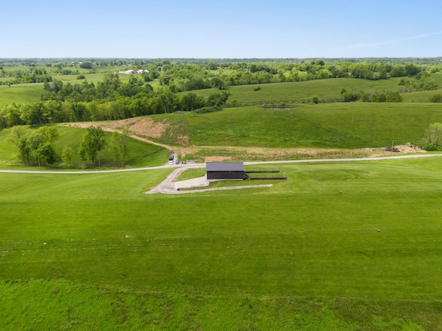 60 Pilots Dream Dr, Dry Ridge, KY 41035 - view of community