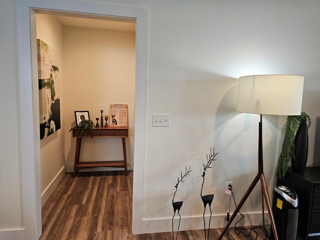 209-211 Wyldwood Way, Berea, KY 40403 - hall with dark wood-type flooring and baseboards