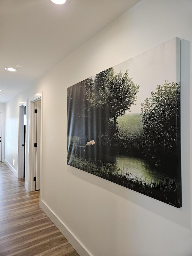 209-211 Wyldwood Way, Berea, KY 40403 - corridor with wood finished floors and recessed lighting