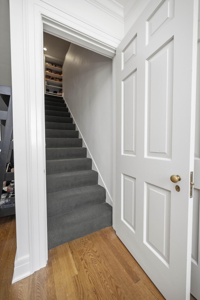 321 S Turner St, Midway, KY 40347 - stairway with wood finished floors and ornamental molding
