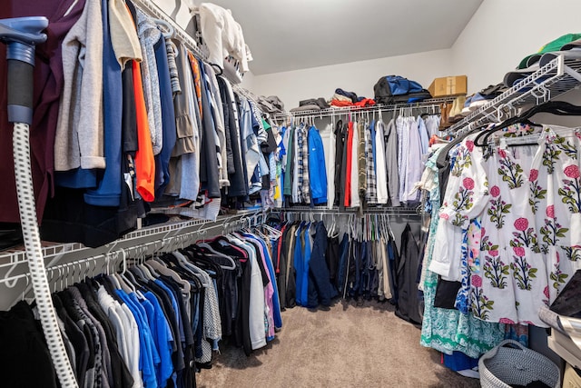 111 Colonial Dr, Versailles, KY 40383 - spacious closet with carpet flooring