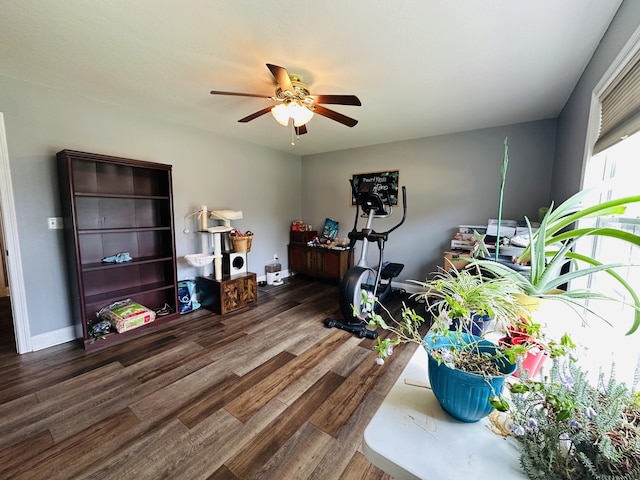 218 Foster Ln, Stanford, KY 40484 - home office with a ceiling fan and wood finished floors