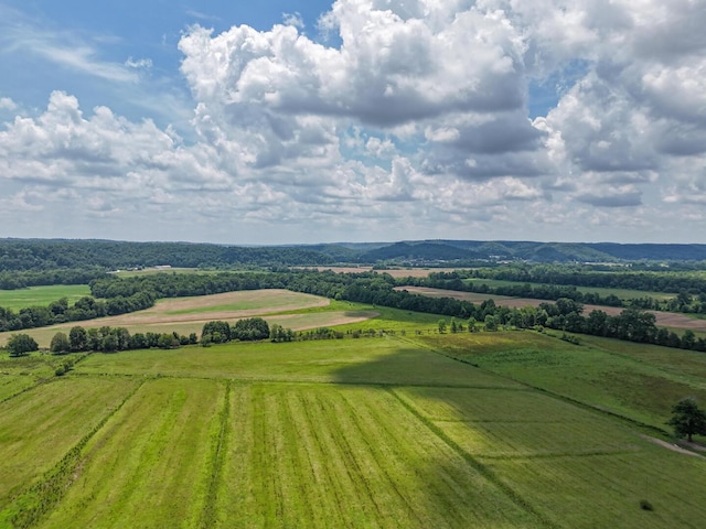 843 Joe Henson Rd, Dunnville, KY 42528 - overview of rural landscape featuring farmland