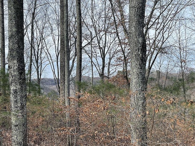 LOT84 Stillwater, Russell Springs, KY 42642