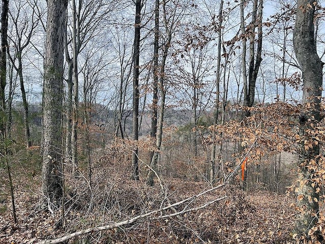 LOT84 Stillwater, Russell Springs, KY 42642