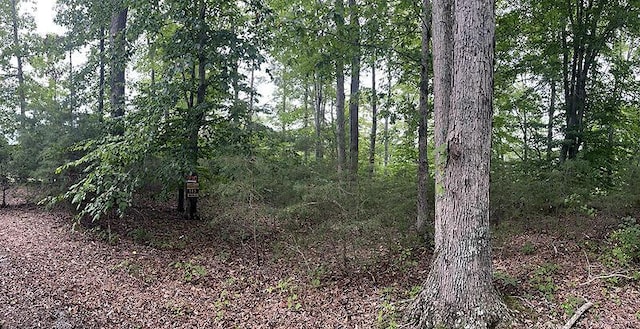 LOT84 Stillwater, Russell Springs, KY 42642