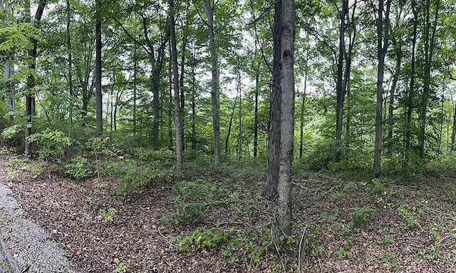 LOT84 Stillwater, Russell Springs, KY 42642