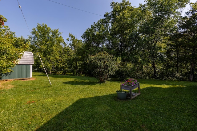 129 Plantation Dr, Lawrenceburg, KY 40342 - view of green lawn featuring a storage unit