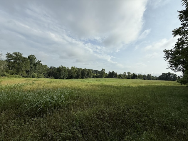 402 Allen Rd, Waynesburg, KY 40489 - view of undeveloped land with rural landscape