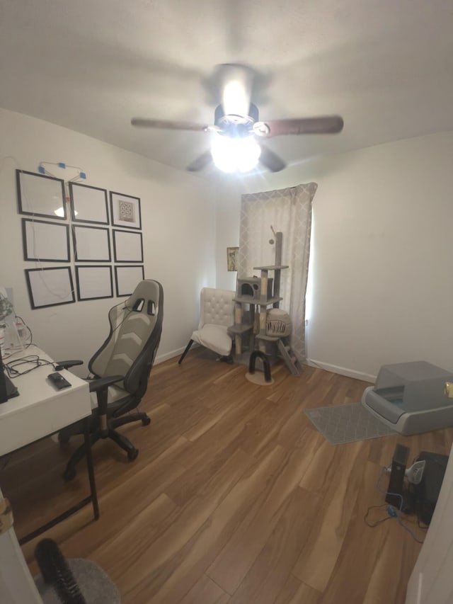 3004 Bell Ct, Richmond, KY 40475 - office space featuring wood finished floors and a ceiling fan