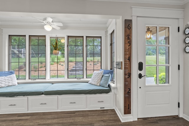 1020 Cornish Ln, Lawrenceburg, KY 40342 - mudroom with ornamental molding, dark wood-style floors, and ceiling fan