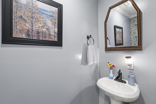 1020 Cornish Ln, Lawrenceburg, KY 40342 - bathroom with a sink and ornamental molding