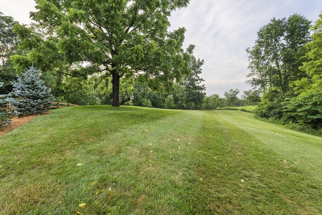 1020 Cornish Ln, Lawrenceburg, KY 40342 - view of green lawn featuring view of wooded area