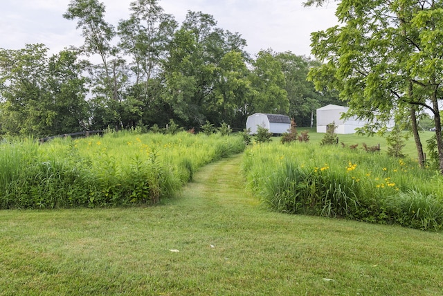 1020 Cornish Ln, Lawrenceburg, KY 40342 - view of green lawn with a storage shed