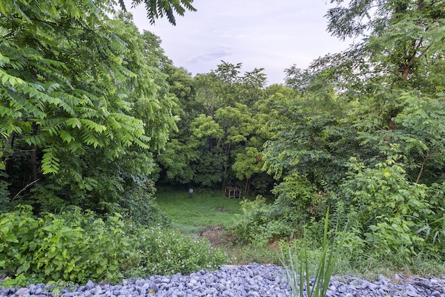 1020 Cornish Ln, Lawrenceburg, KY 40342 - view of nature