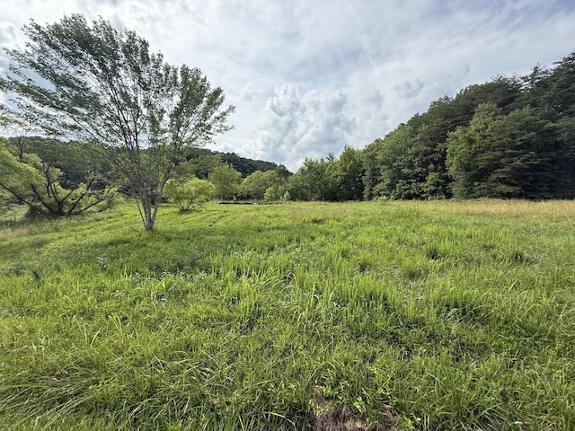 259 Nantz Rd, London, KY 40741