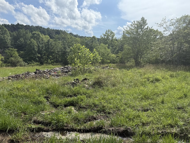 259 Nantz Rd, London, KY 40741