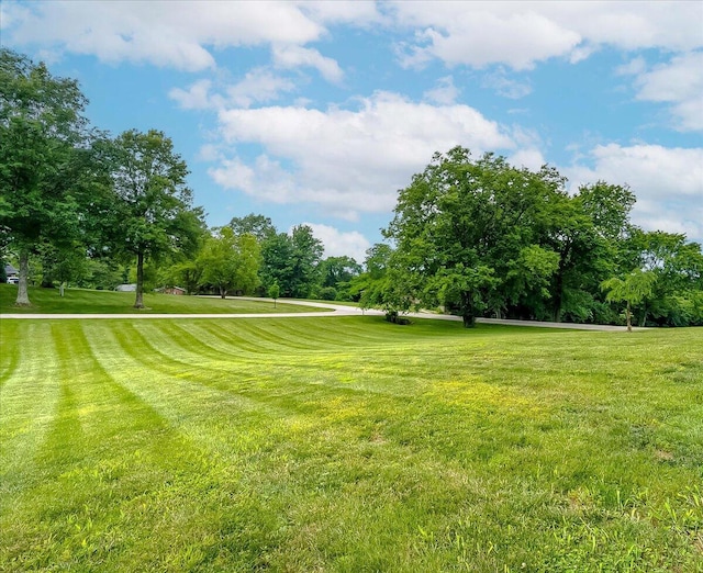 1758 Airdrie Ln, Frankfort, KY 40601 - surrounding community with a lawn and view of scattered trees